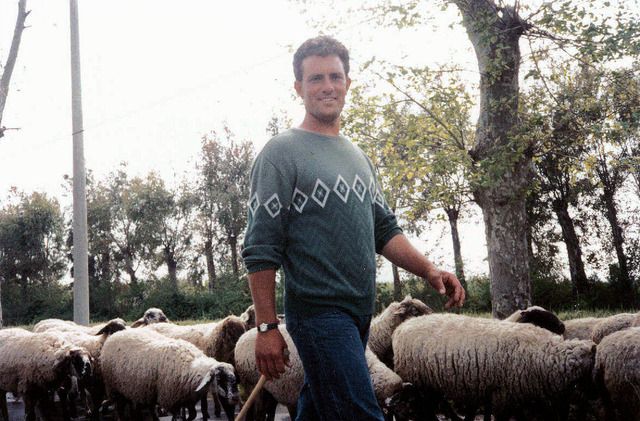  photo Shepherd_zpsyiwpqxhf.jpg