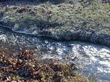 Cold Creek, First cold snap of 2009 leaves a little ice along the 4-H Fairgrounds creek