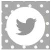  photo Grey-polka-dot-social-media-iconsApngtwitter_zps59f7e343.jpg