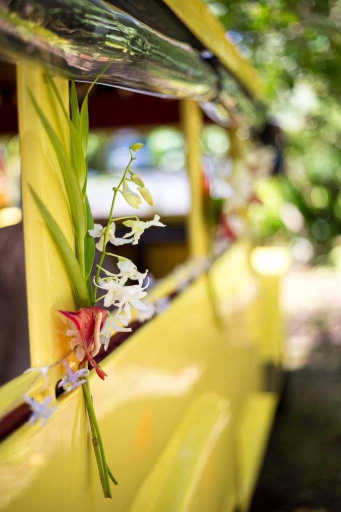 IMAGE: http://i825.photobucket.com/albums/zz173/typicaljawaiian/Asher-11.jpg