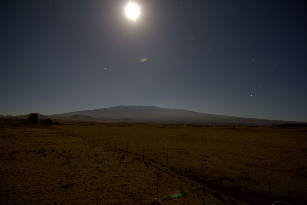 IMAGE: http://i825.photobucket.com/albums/zz173/typicaljawaiian/My%20Canon%207d%20Album/1-IMG_9035.jpg