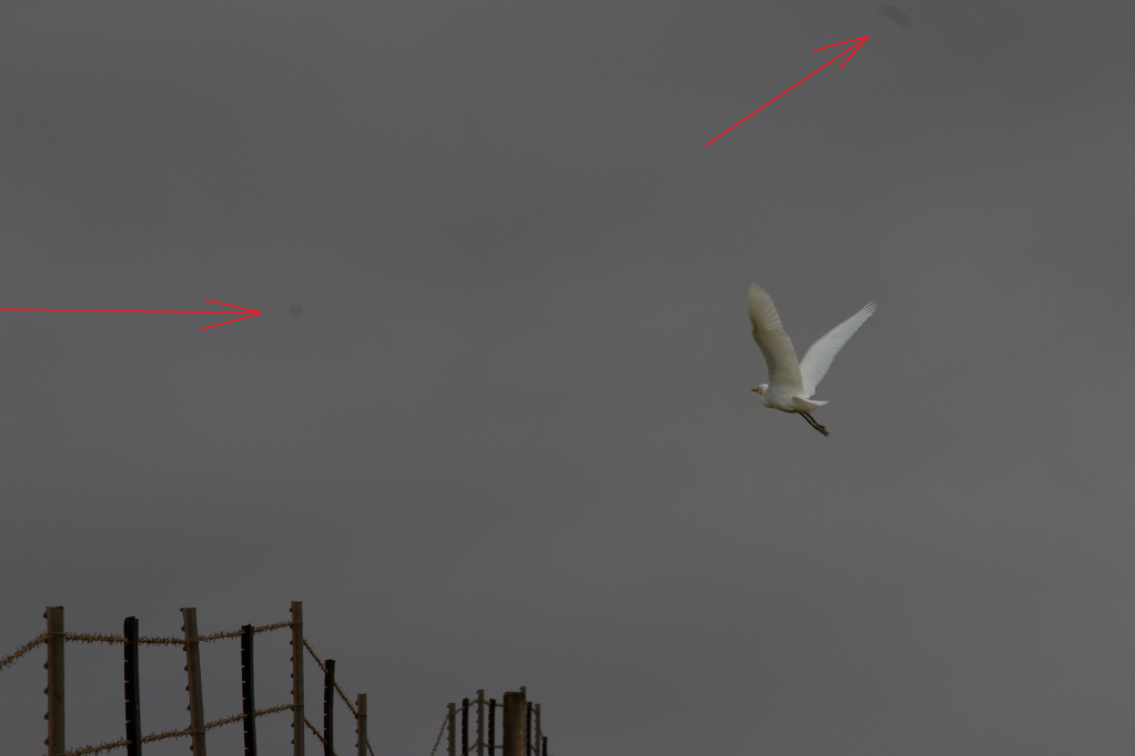 IMAGE: http://i825.photobucket.com/albums/zz173/typicaljawaiian/My%20Canon%207d%20Album/dots.png