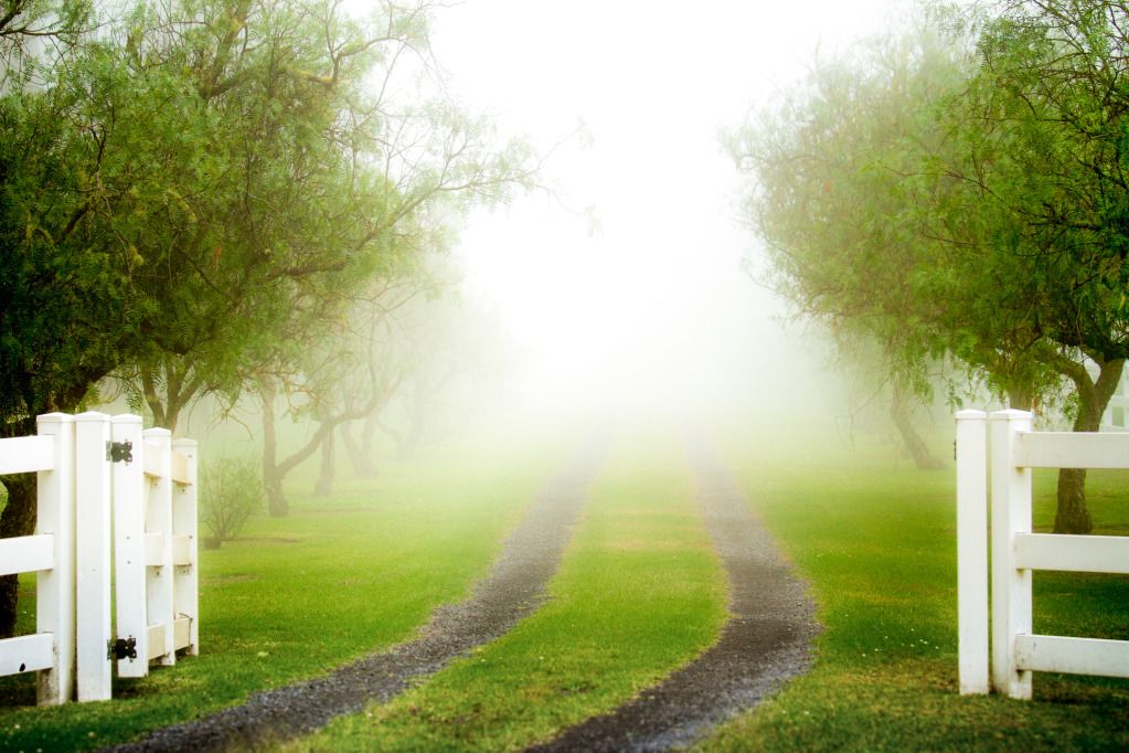 IMAGE: http://i825.photobucket.com/albums/zz173/typicaljawaiian/My%20Canon%207d%20Album/fog-1-2.jpg