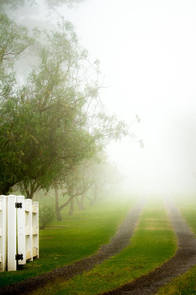 IMAGE: http://i825.photobucket.com/albums/zz173/typicaljawaiian/My%20Canon%207d%20Album/fog-3.jpg