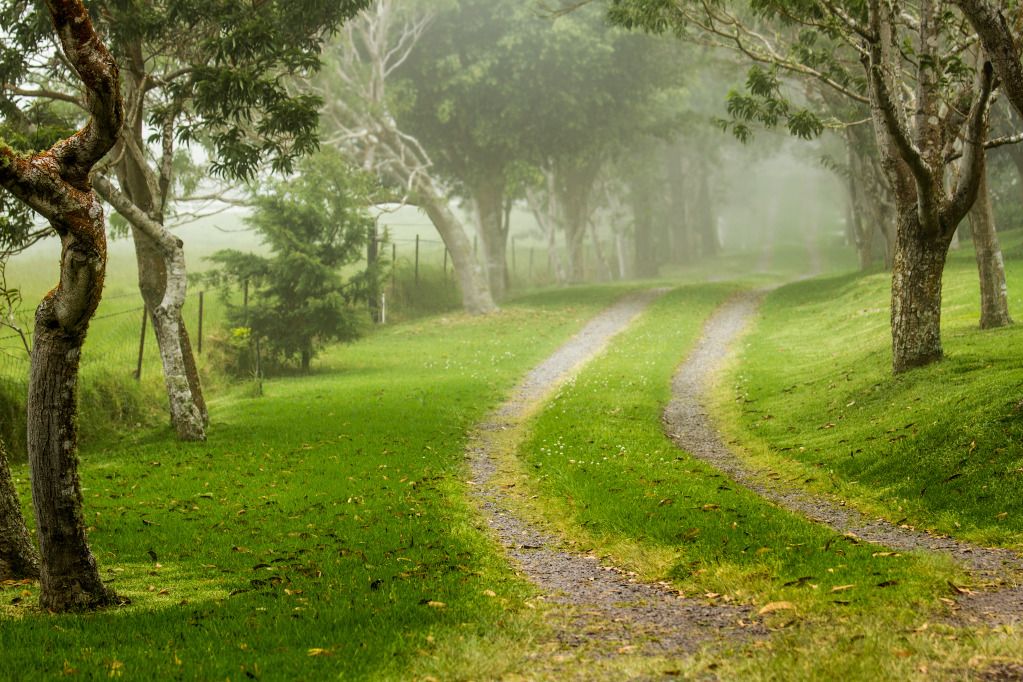 IMAGE: http://i825.photobucket.com/albums/zz173/typicaljawaiian/My%20Canon%207d%20Album/fog-4.jpg