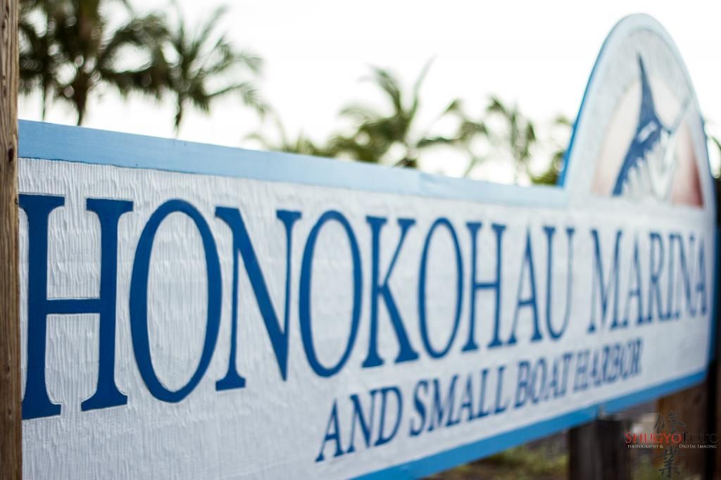 IMAGE: http://i825.photobucket.com/albums/zz173/typicaljawaiian/My%20Canon%207d%20Album/herman-1.jpg