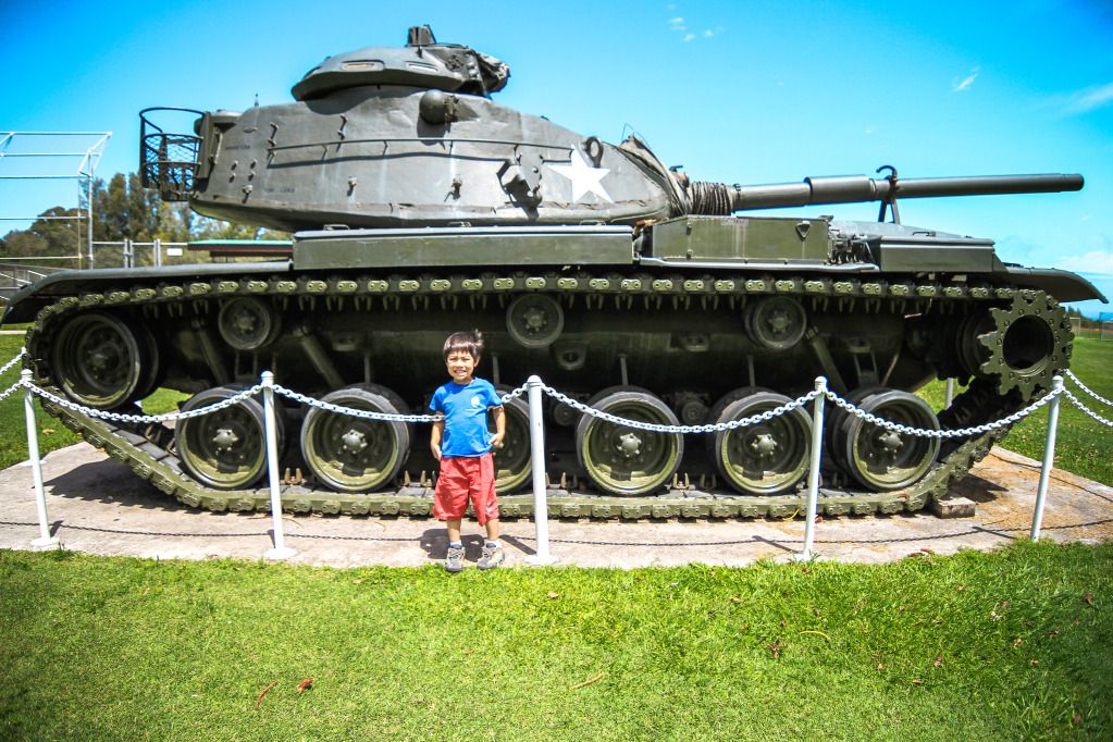 IMAGE: http://i825.photobucket.com/albums/zz173/typicaljawaiian/My%20Canon%207d%20Album/kohala-49.jpg