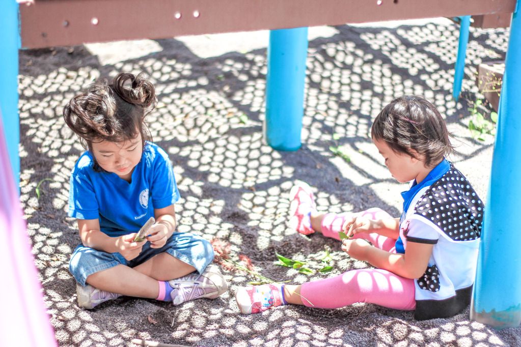 IMAGE: http://i825.photobucket.com/albums/zz173/typicaljawaiian/My%20Canon%207d%20Album/kohala-93.jpg