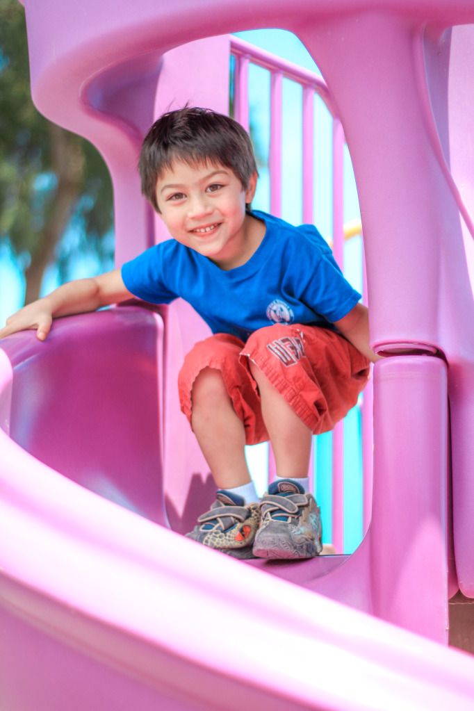 IMAGE: http://i825.photobucket.com/albums/zz173/typicaljawaiian/My%20Canon%207d%20Album/kohala-94.jpg