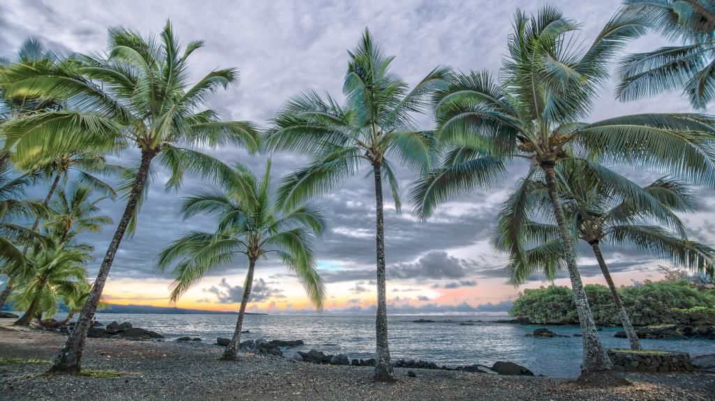 IMAGE: http://i825.photobucket.com/albums/zz173/typicaljawaiian/sun-3-2.jpg