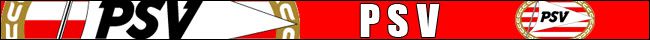 bannerpsv.jpg