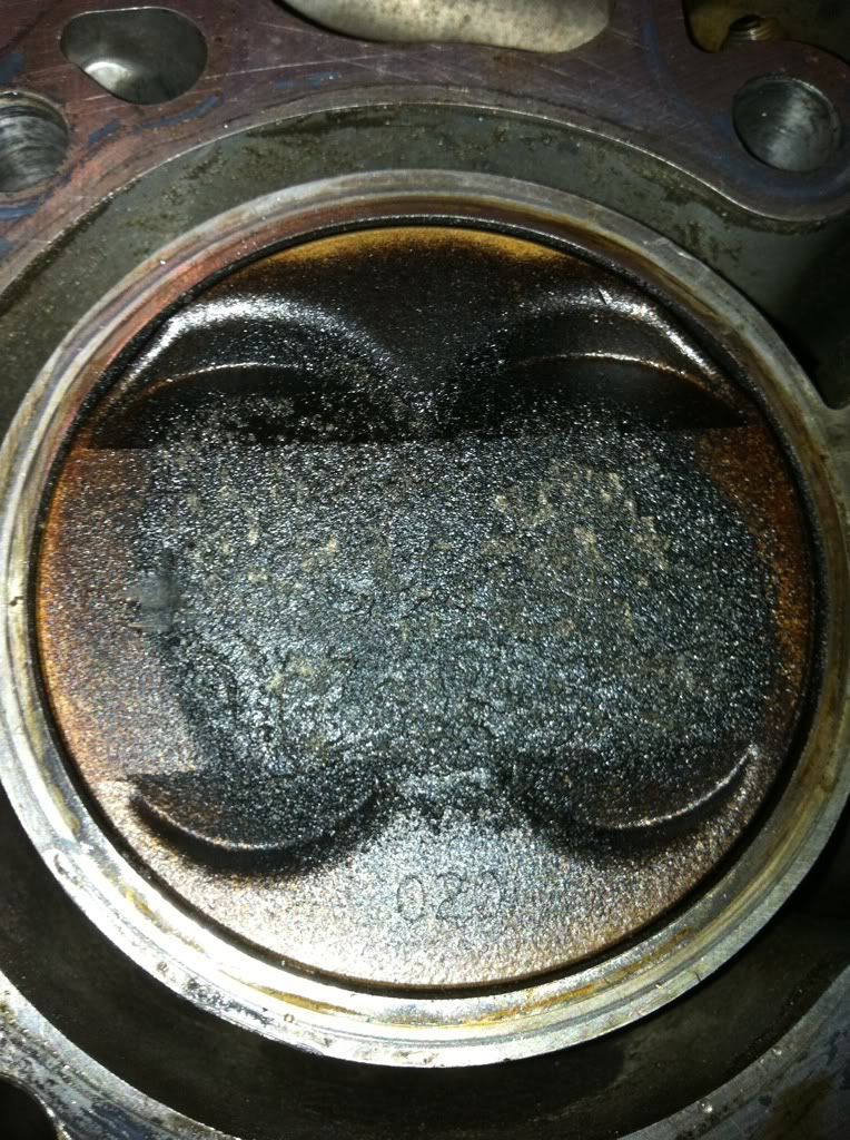 Gsr piston assesment Team Integra Forums