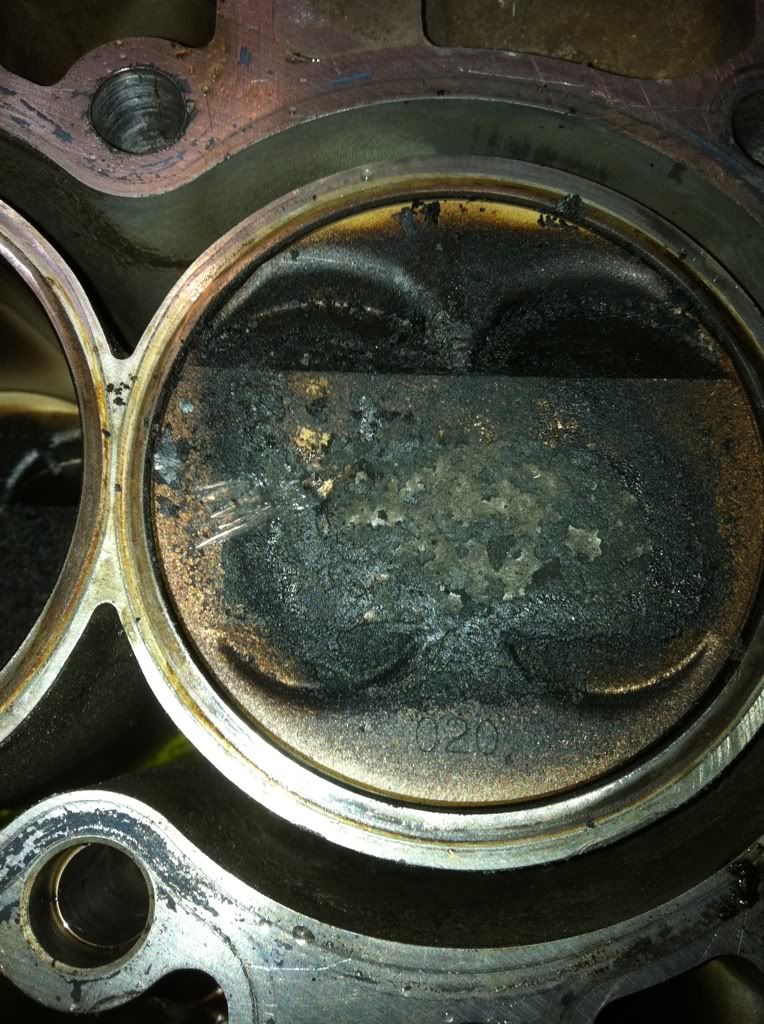 Gsr piston assesment Team Integra Forums