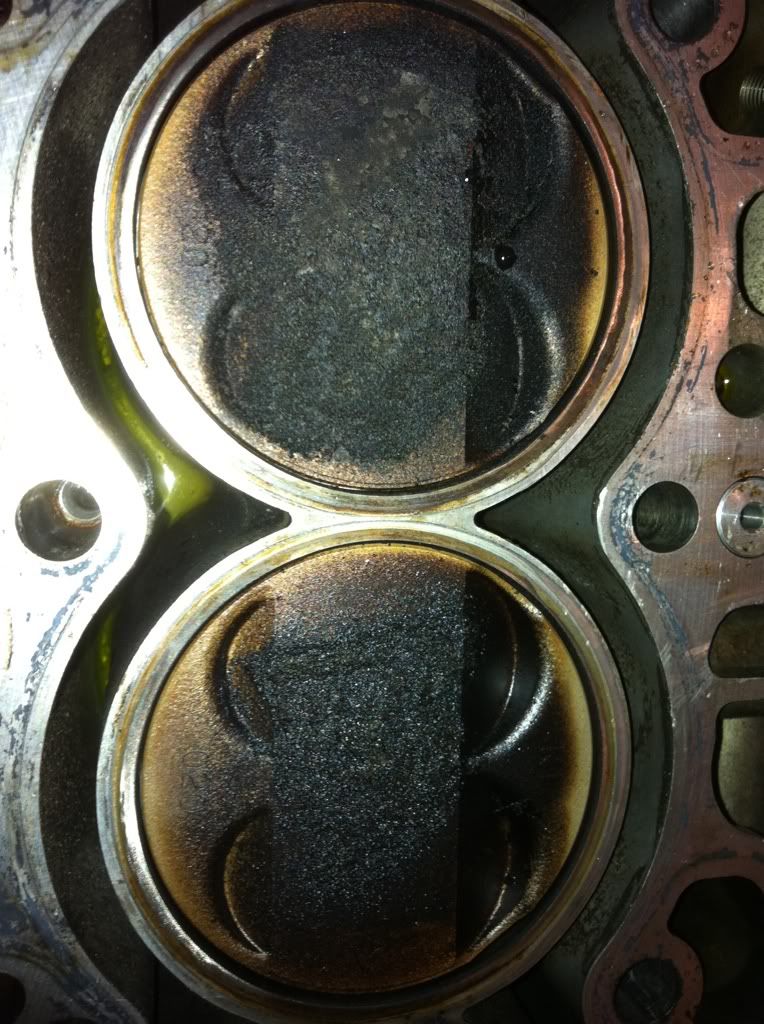 Gsr piston assesment Team Integra Forums