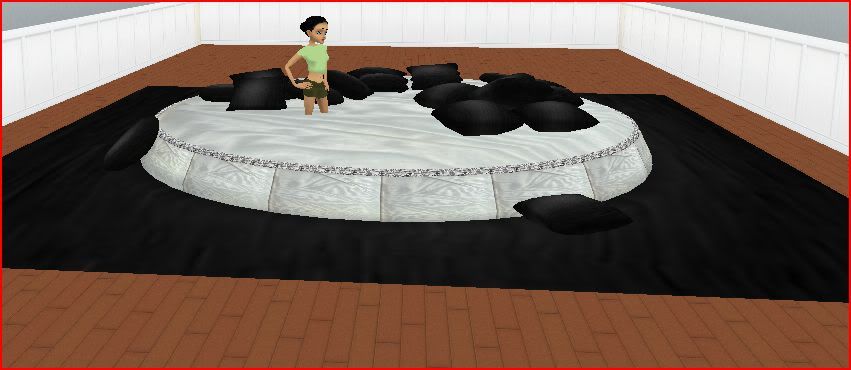 Black White Poseless Bed