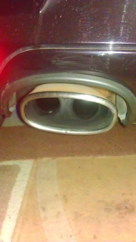 IMAG0542.jpg