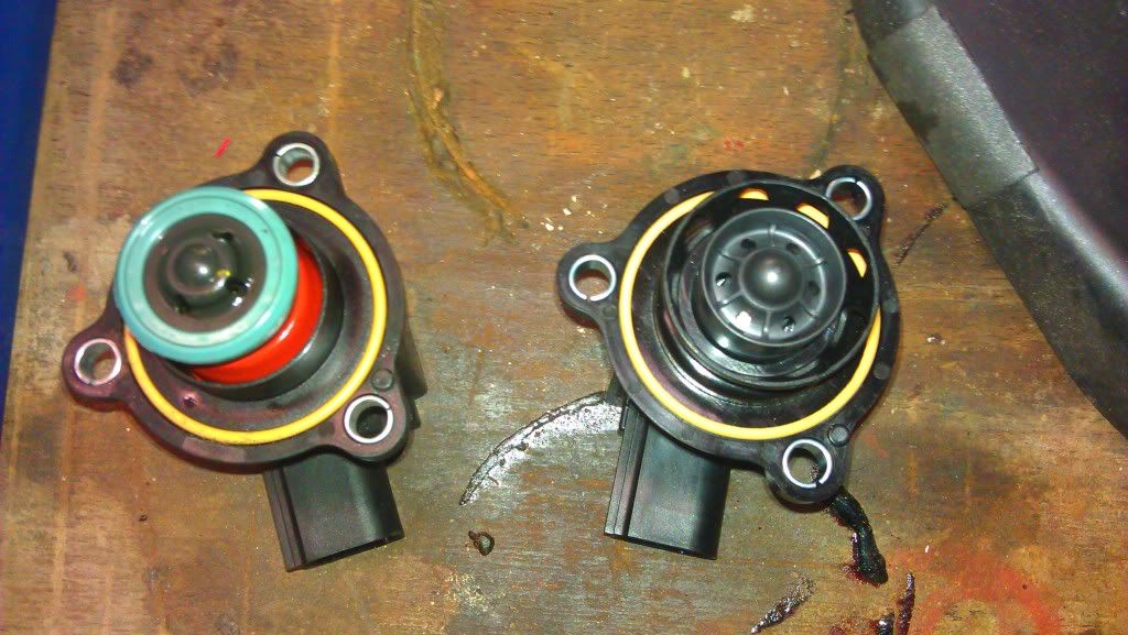 IMAG0558.jpg