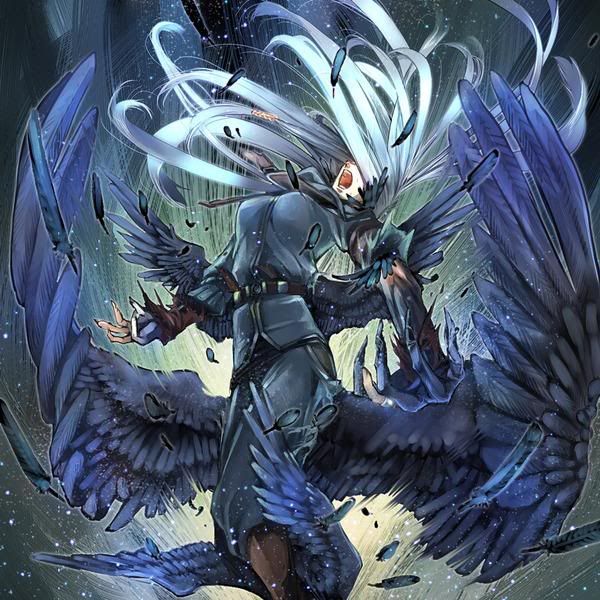 bjhfdsgdsg.jpg?t=1264819573