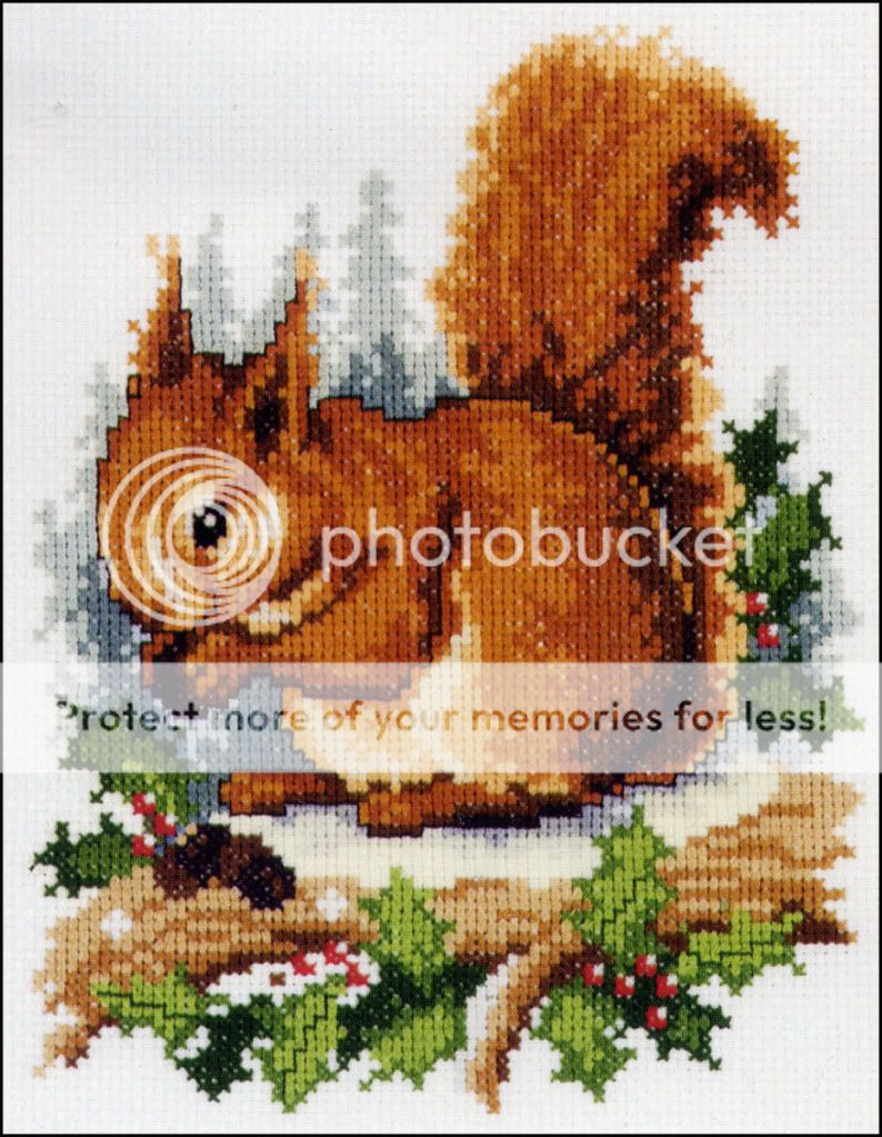 Stickpackung VERVACO   Eichhörnchen   70756   14 counted Cross Stitch